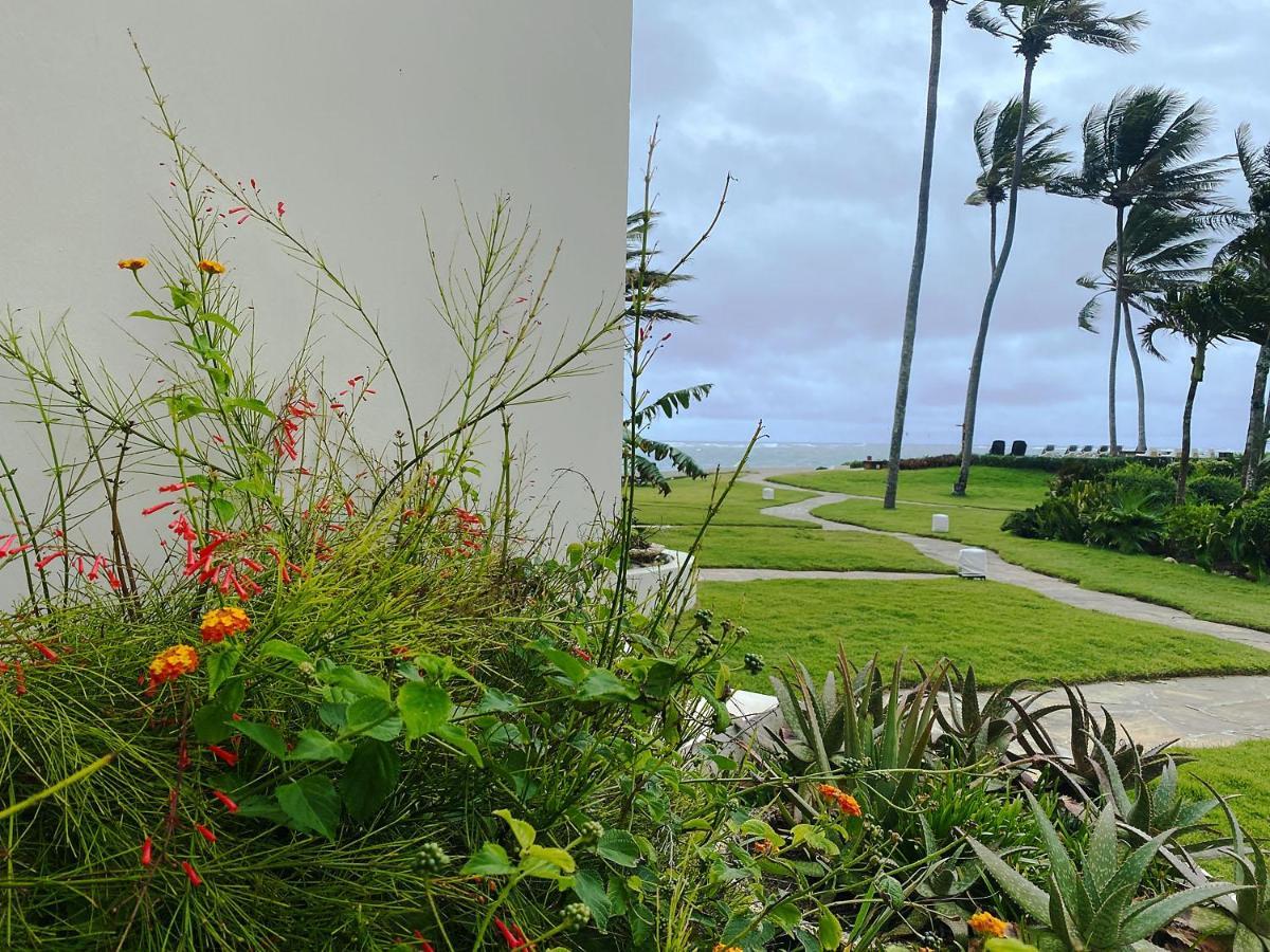 Cabarete Beachfront Condos At Nanny Estate C-5 Exterior photo